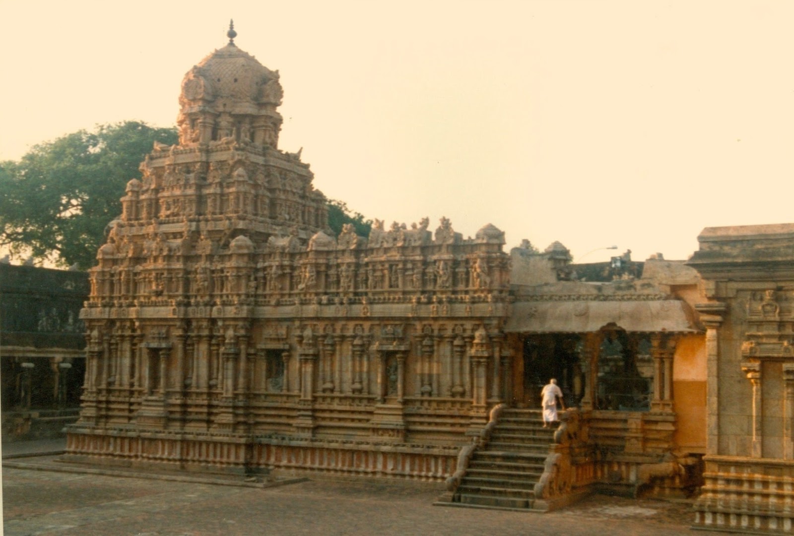 Ein Buch Lesen Marz 2016