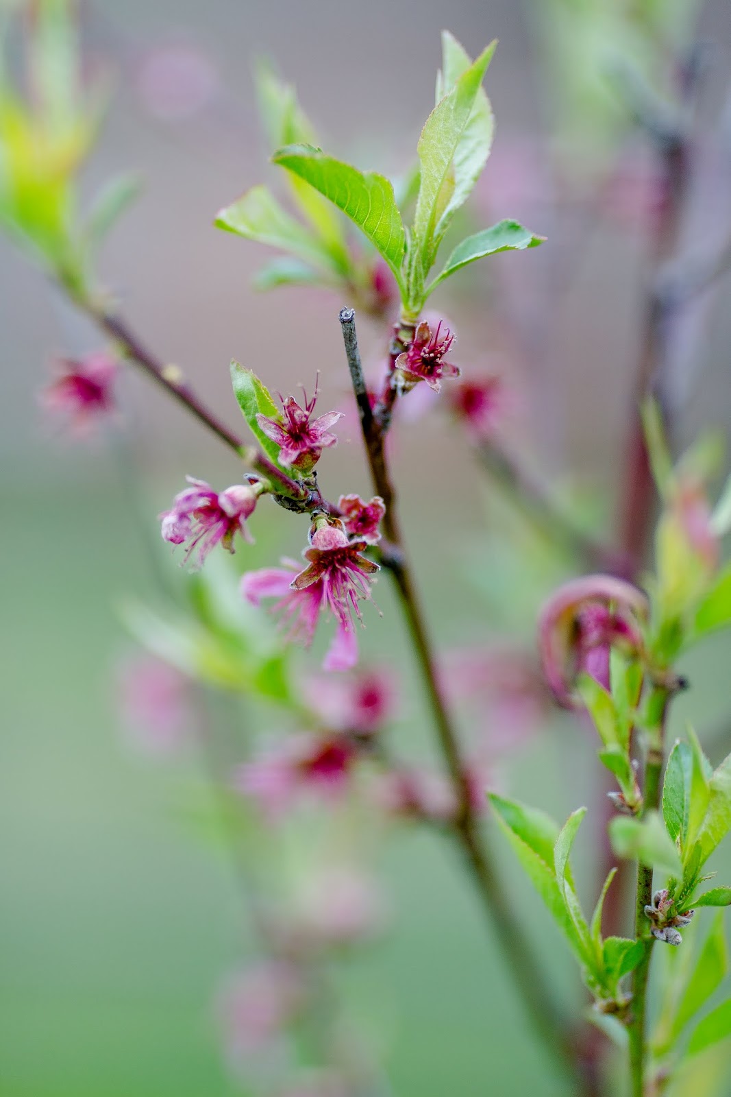Der Dekoliebling Etagere Als Wahrer Alleskonner Und Schone