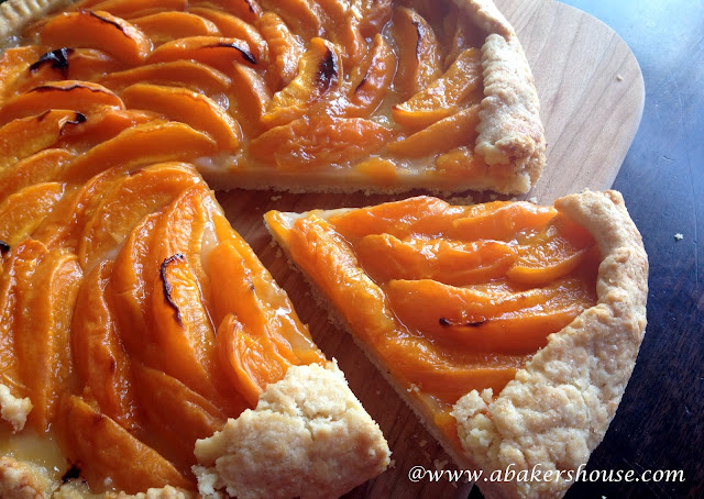 baked apricot galette