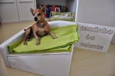 cama inclinada para cães cama inclinada para cães