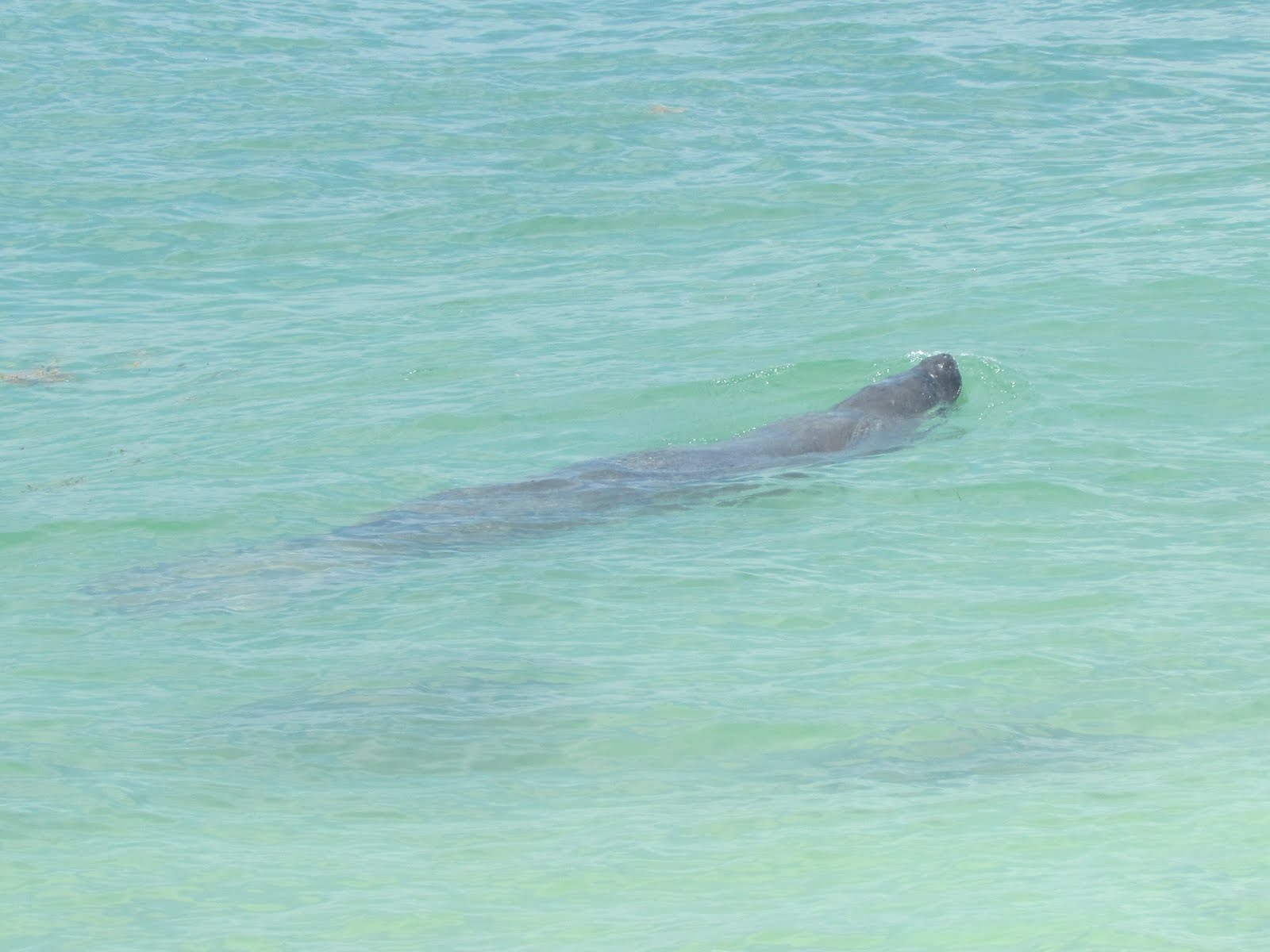 Visions From Key West