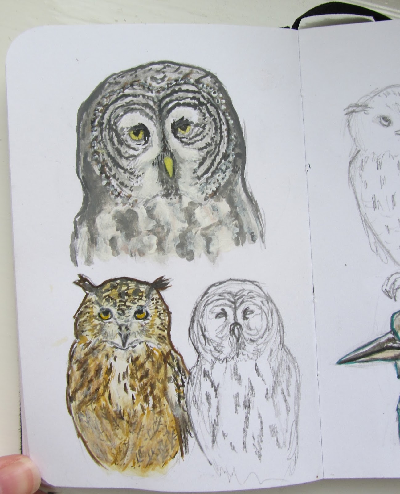 Summer of Illustration : Adding colour to my Owls