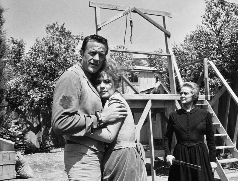 Relationship While Filming Gilligan S Island Relationship While Filming Gilligan S Island