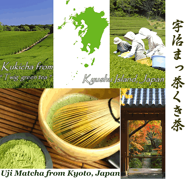 Uji matcha blend Kukicha twig Japanese green tea premium uji Matcha green tea powder aojiru young barley leaves green grass powder japan benefits wheatgrass yomogi mugwort herb