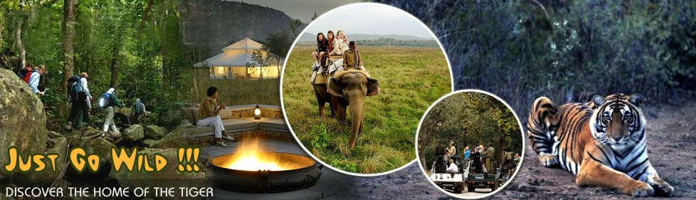 Indian Tours Services - Travel Services - India Tours