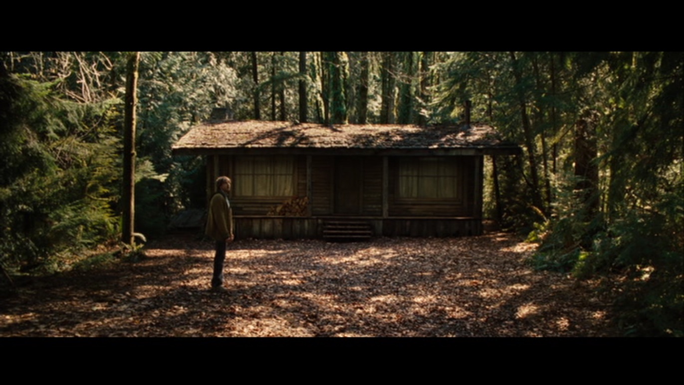 The cabin in the woods (2011) .