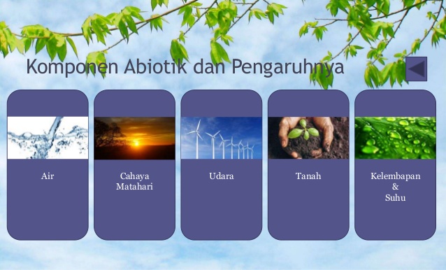 Pengertian Abiotik dan Komponen Abiotik Beserta Pengaruh Dan Contohnya