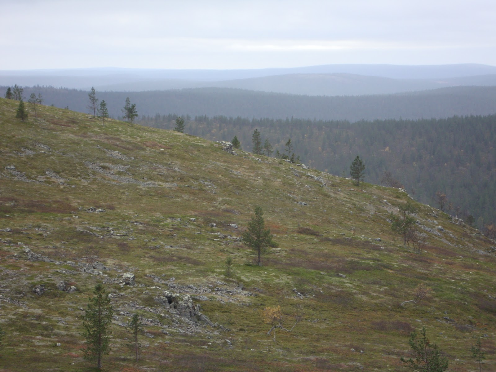 retkeily: Hammastunturin erämaa-alue