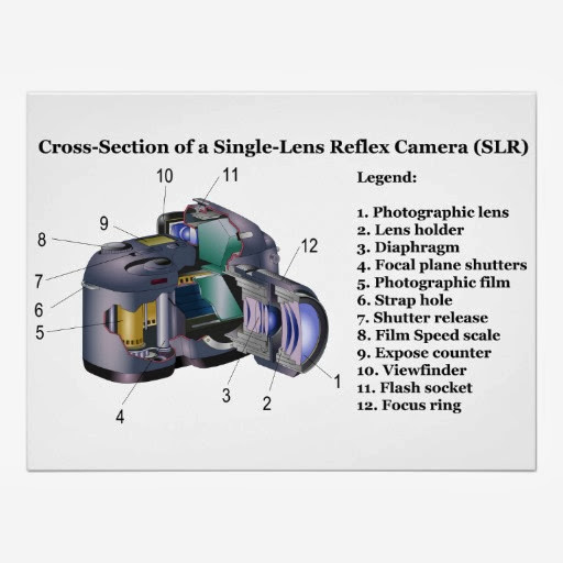 How Cameras Work ( Single-Lens Reflex) ~ PHOTOGRAPHER TIPS