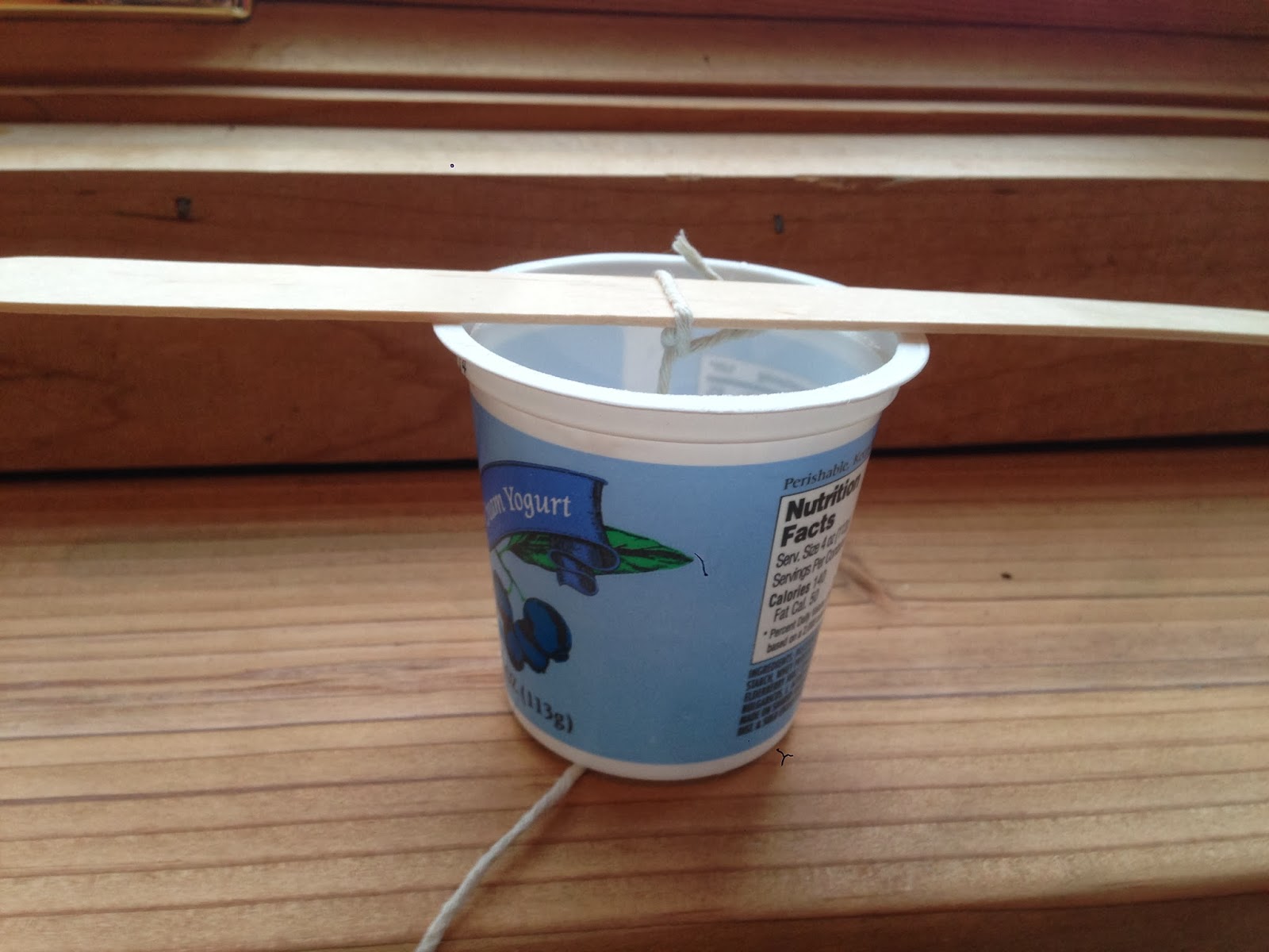 The Blue Barn: Yogurt Pot Bird Feeders