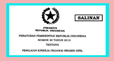 DOWNLOAD PERATURAN PEMERINTAH REPUBLIK INDONESIA NOMOR 30 TAHUN 2019 TENTANG PENILAIAN KINERJA PEGAWAI NEGERI SIPIL (PNS)