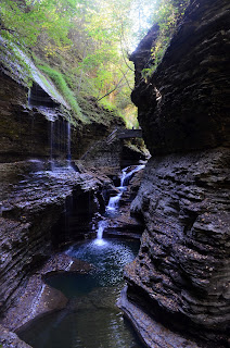 Cuarta etapa: el lago Seneca y el parque estatal de Watkins Glen - Los lagos Finger y las cataratas del Niágara (5)