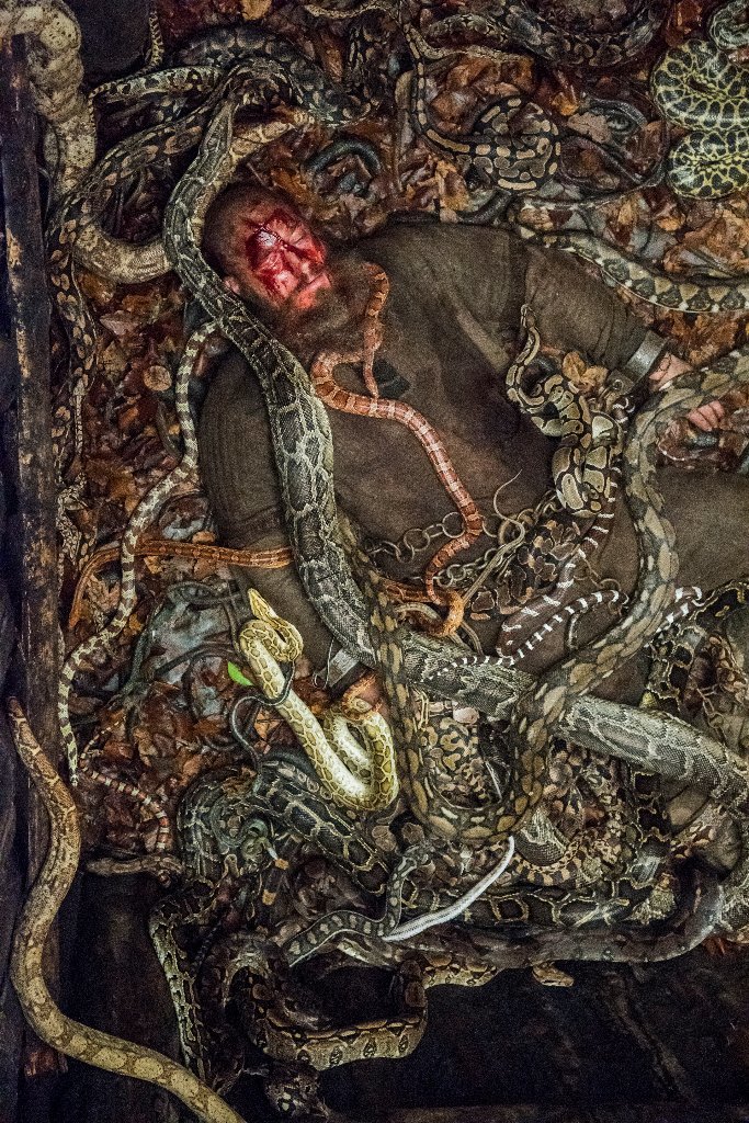 Scientia potentia est Ragnar Lothbrok (Travis Fimmel) meet his fate and dies in a pit of snakes