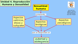 DIFERENTES ASPECTOS DE LA SEXUALIDAD HUMANA.