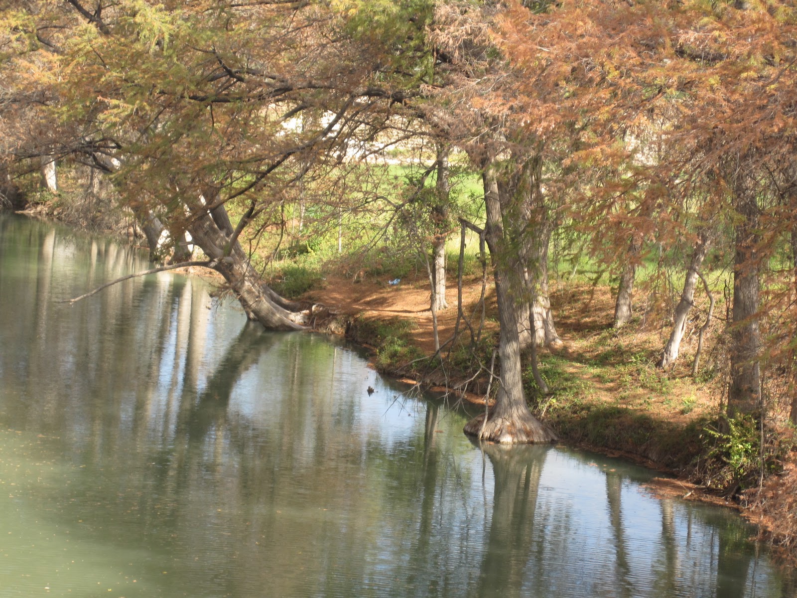 Seasons Wilkome to a Glimpse into the PastPhotos and Narrative of