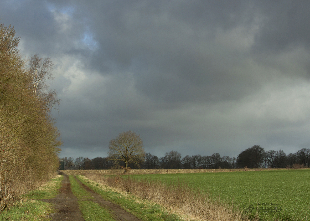 Gabriele Manhold Photography: Landwirtschaftliche Wege, am 19.03.2019.