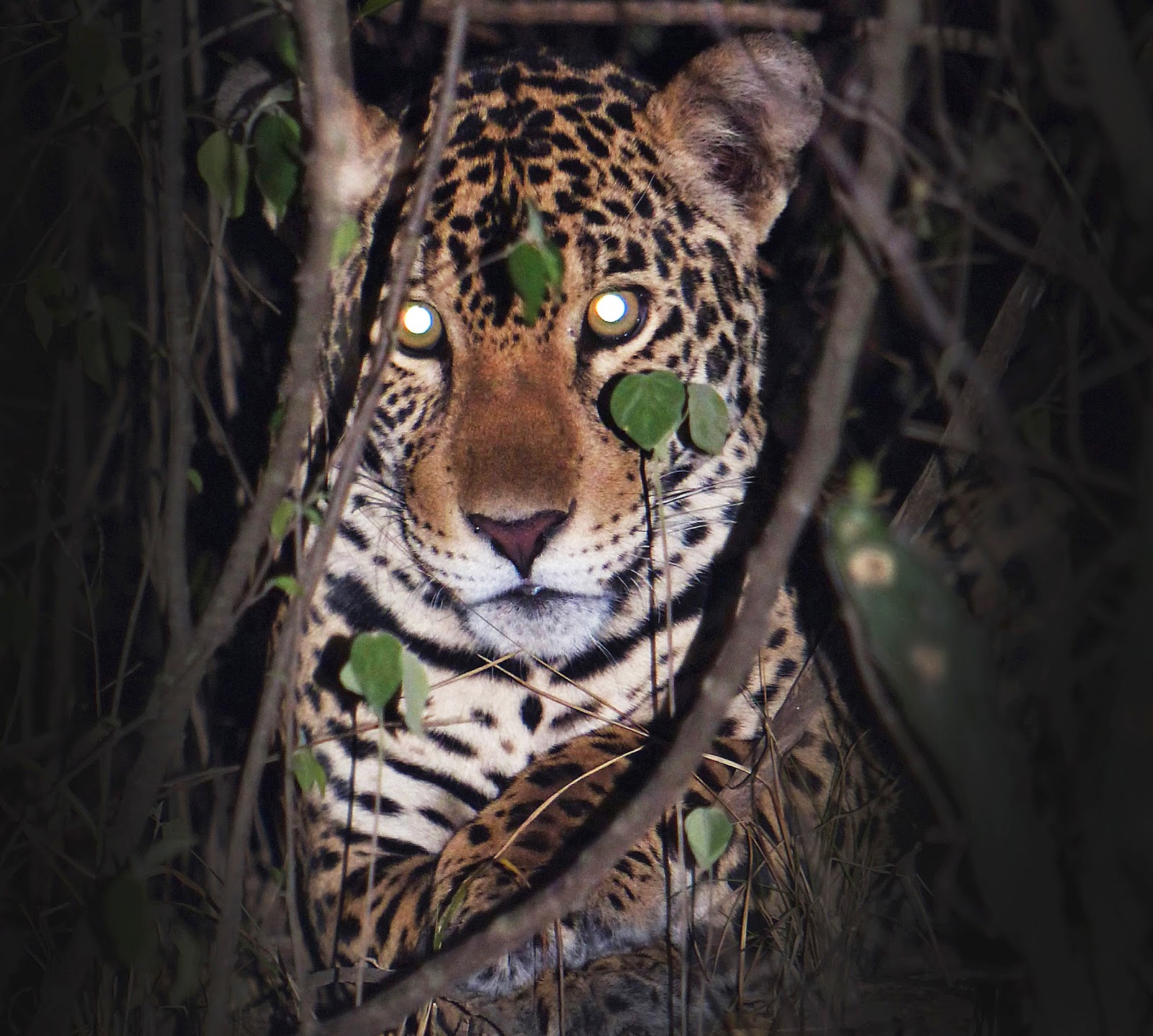 The best tours in Bolivia: The Best attractions in Santa Cruz de la