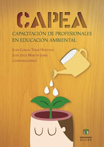 Libro CAPEA 2013