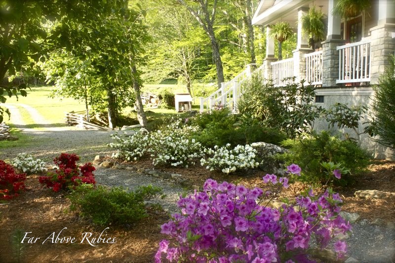 Natural landscaping on a budget