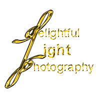 Delightful Light Photography