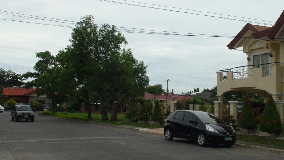 Davao Home Provider For Sale House and Lot With Pool and Garden at