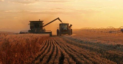 plant life modern agriculture problems modern agriculture