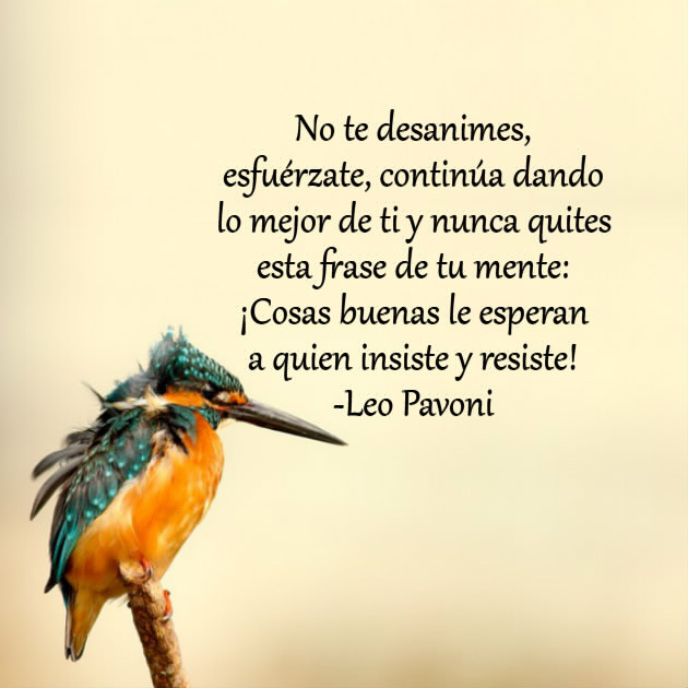 Resultado de imagen de LEO PAVONI