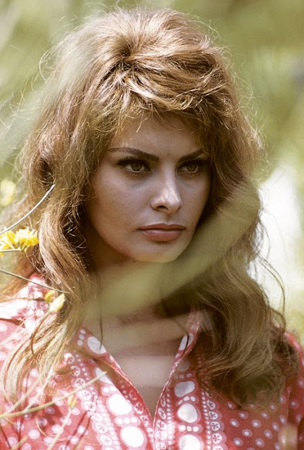 Resultado de imagen para sophia loren 