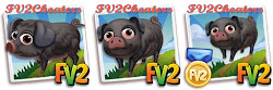tokyo farmville pig