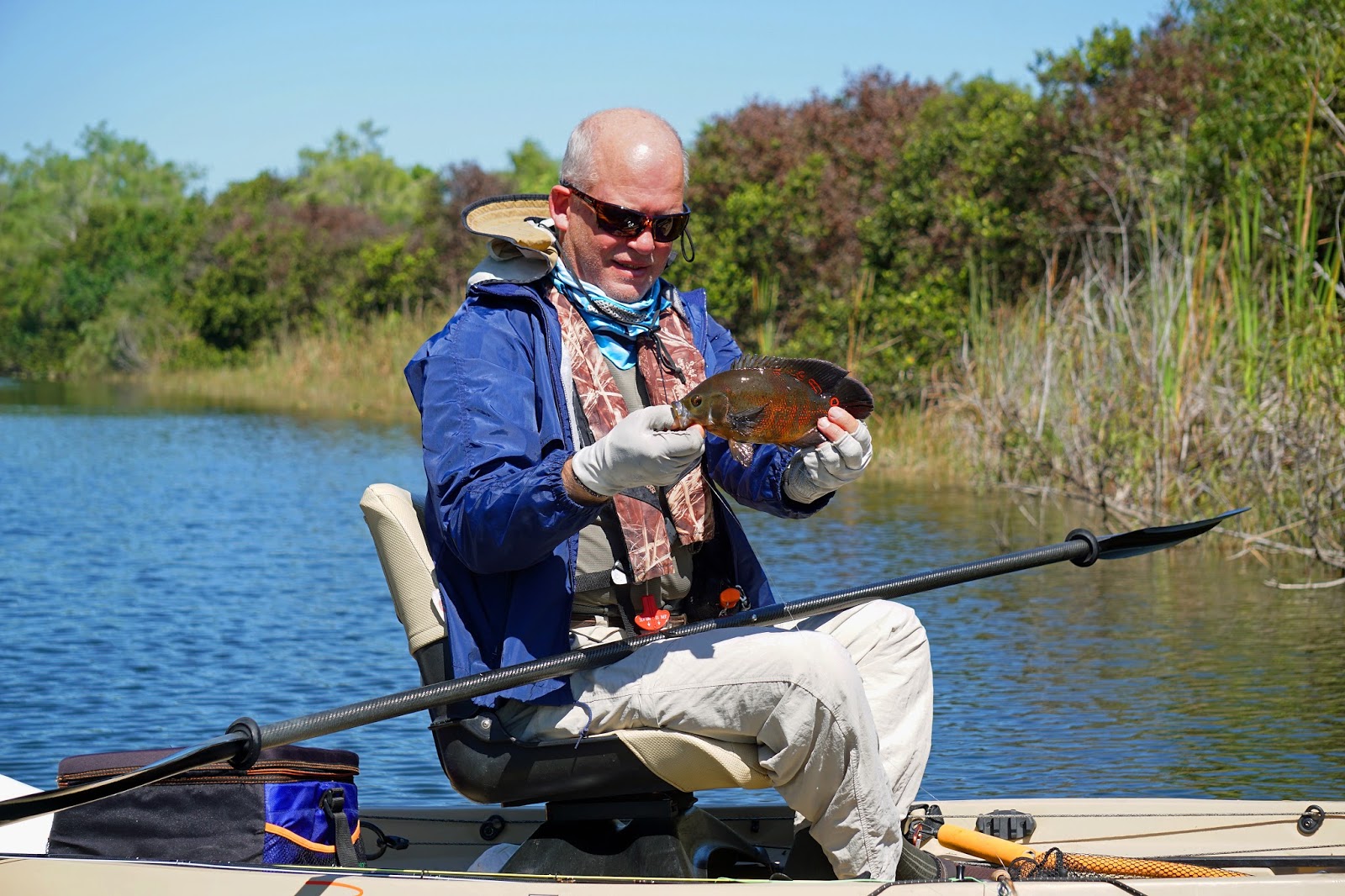 Southern Kayak Kronicles