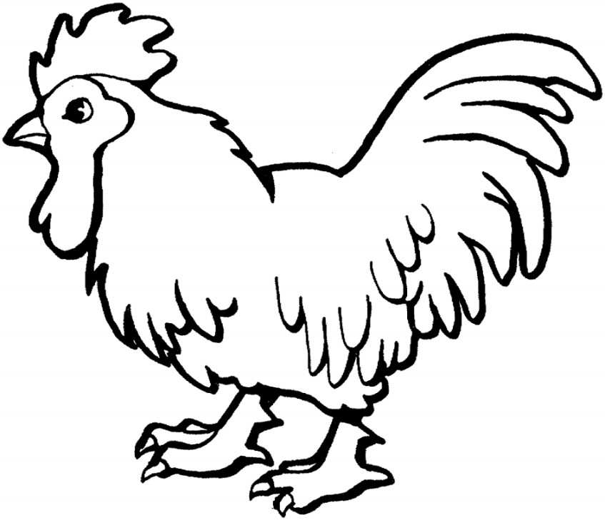 Gambar Mewarnai Ayam Terbaru | gambarcoloring