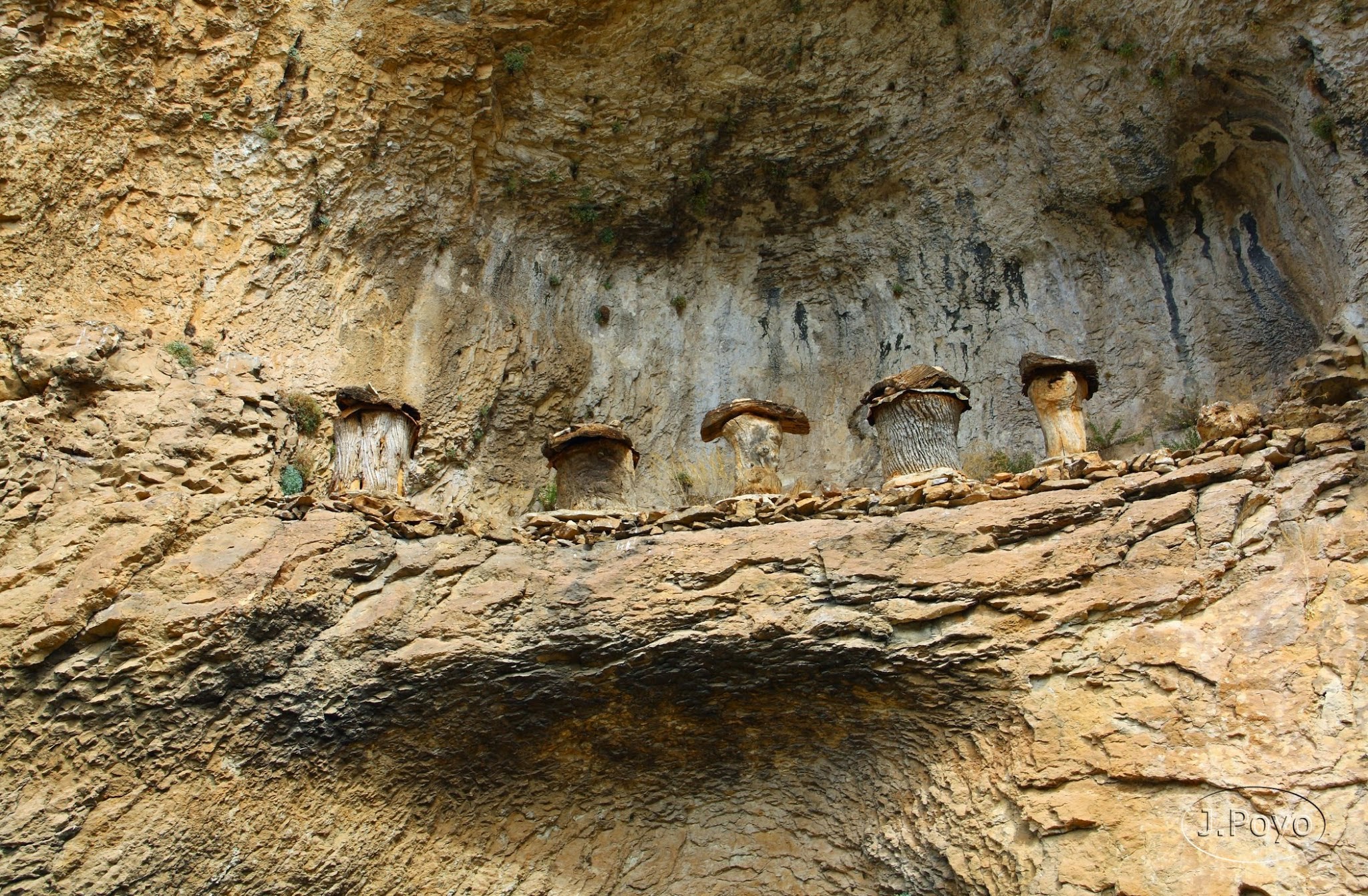 Parque Natural del Río Lobos