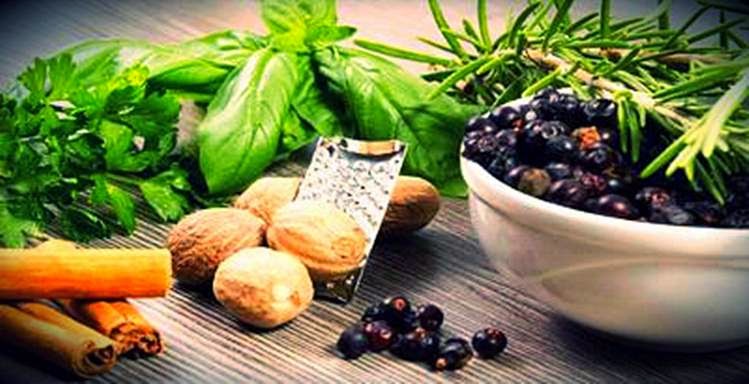 9 Tanaman Herbal Yang Bisa Dijadikan Obat Asam Urat 9 Tanaman Herbal Yang Bisa Dijadikan Obat Asam Urat