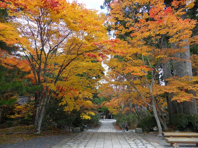 Autumn in Japan