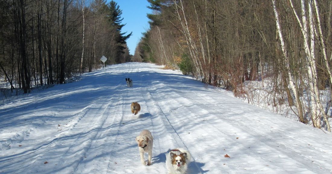 Windswept Adventure Brasher Falls State Forest Part 2