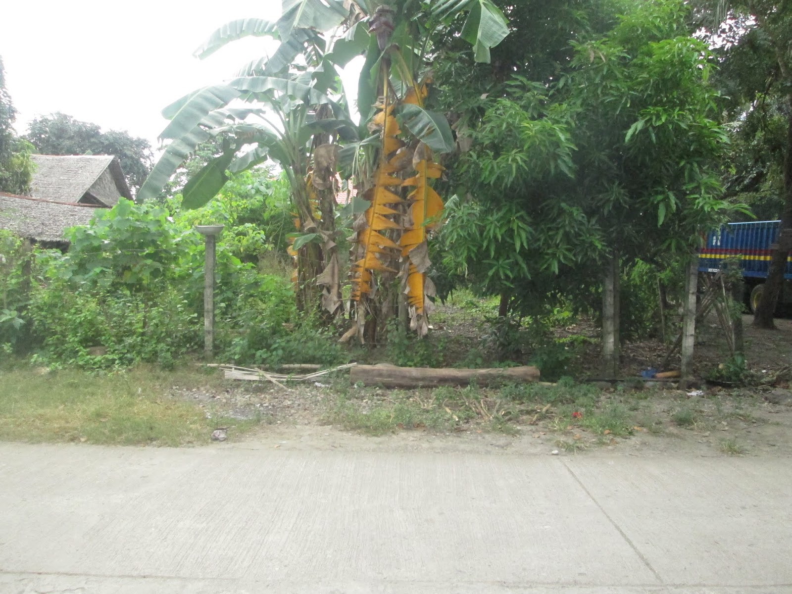 1218 square meters, Lot for Sale in Balugo 2, Purok Mangga, Dumaguete