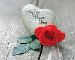 Rose day images 2016