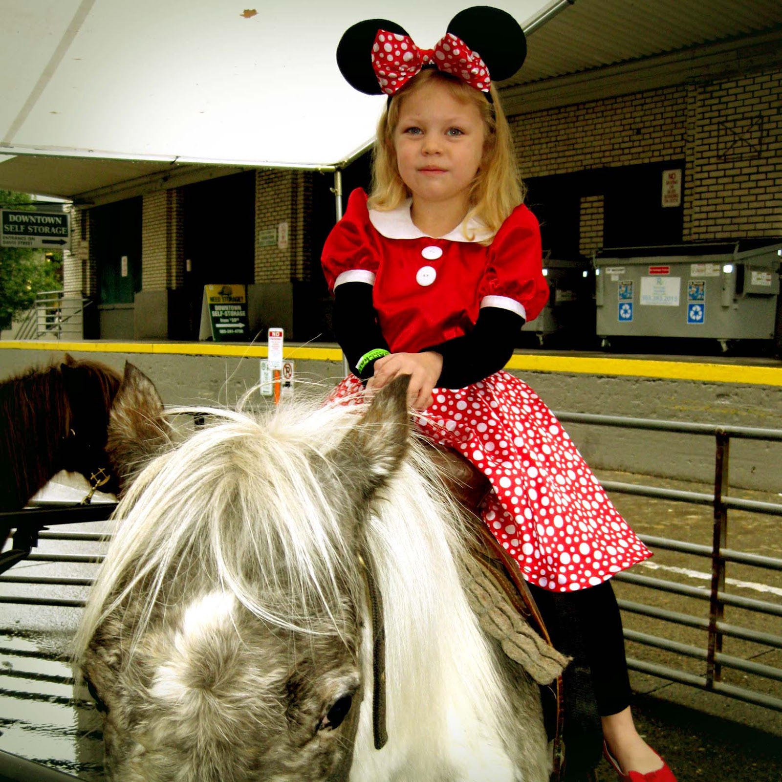 Sweet Adeline & Mini Cooper Super Cooper and Minnie Mouse