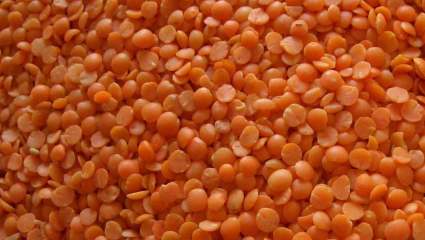 سعر كيلو الأرز والعدس الاصفر وبجبة اليوم في مصر 2023