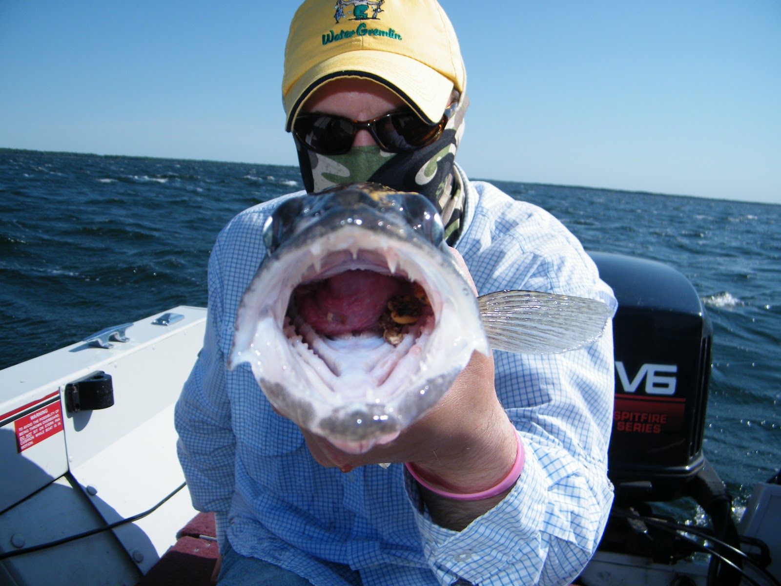 Slab Seeker Fishing: Gear Review: Buff Multifunctional Headwear