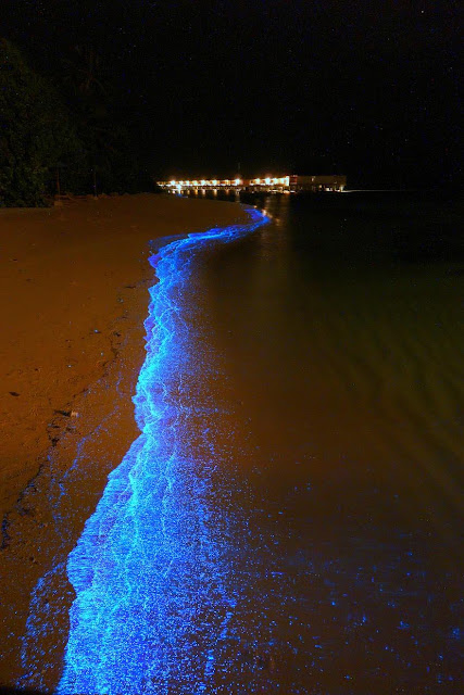 Indah Kilaunya Pantai Maladewa