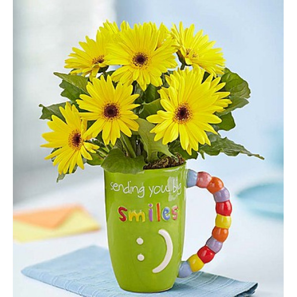 Birthday Flowers Photo Gallery: September 2014 on Get Well Flowers id=61118