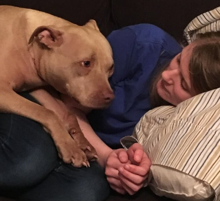 24 Heart-Melting Pictures Of Dogs Who Truly Love Their Human Companions
