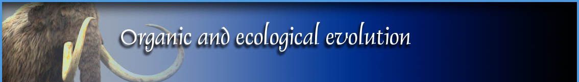 Macroecology and Evolutionary Biology