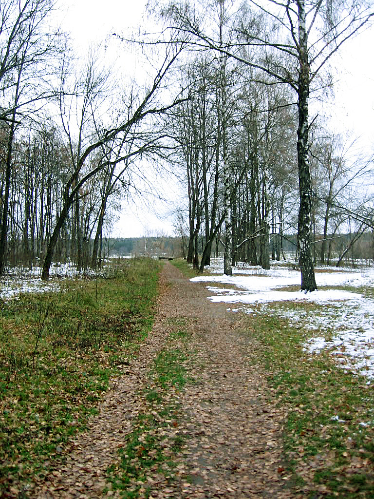Парк в лосино петровском Парк в лосино петровском