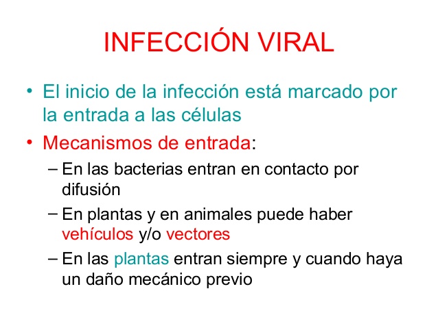 infeccion viral
