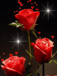 imagenes de rosas y corazones animadas rosas corazones y mas