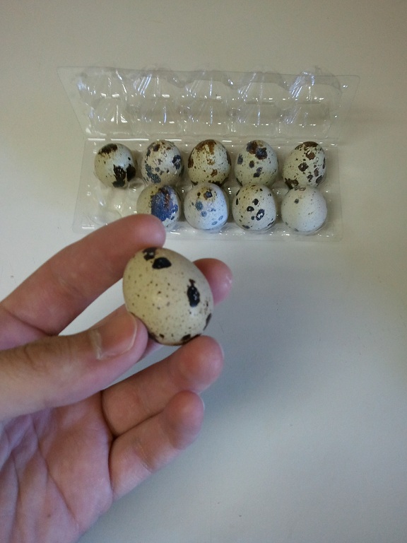 quail eggs for sale near me quail eggs for sale near me