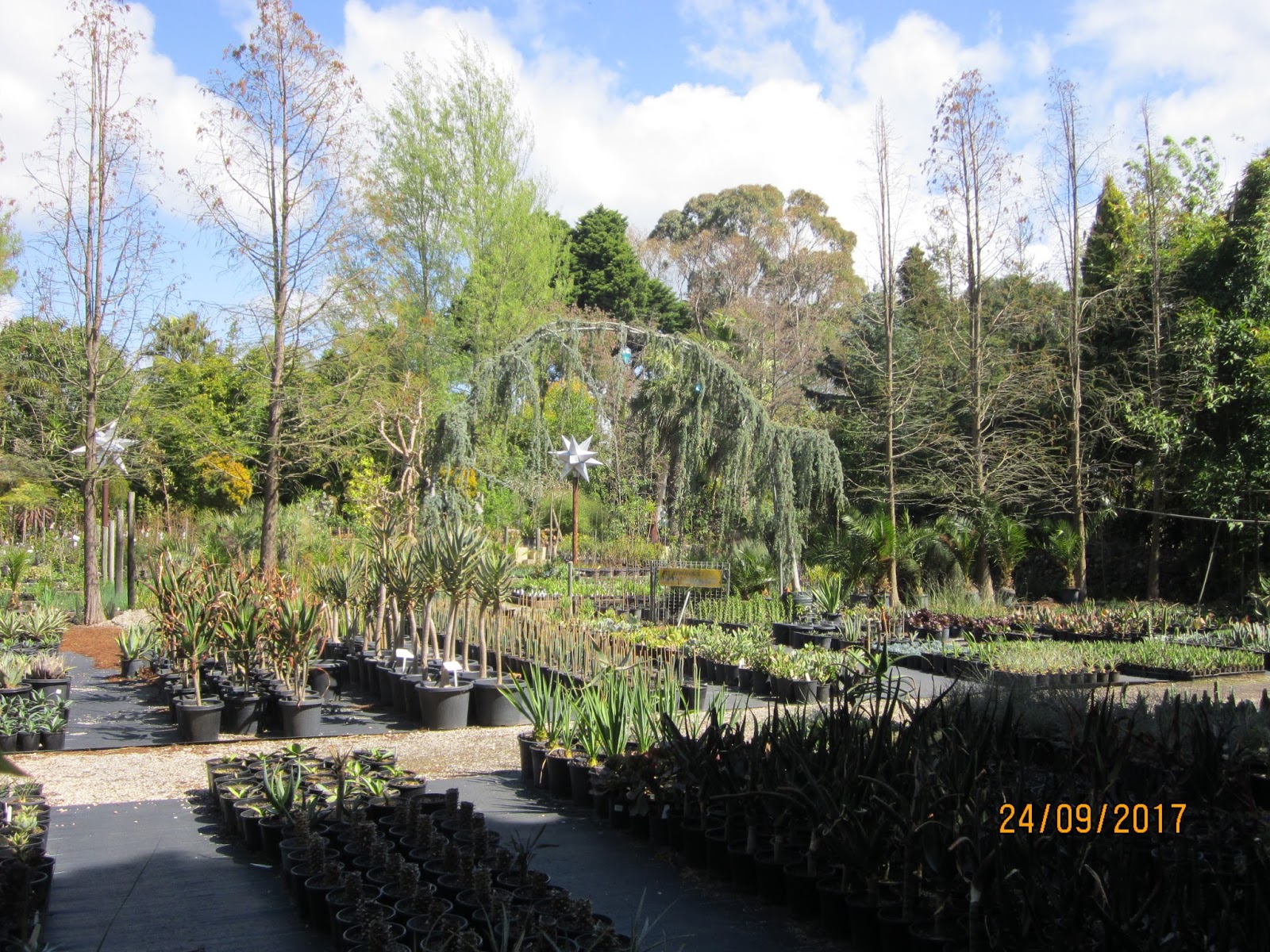 The Niche Nursery Ballarat & Melbourne