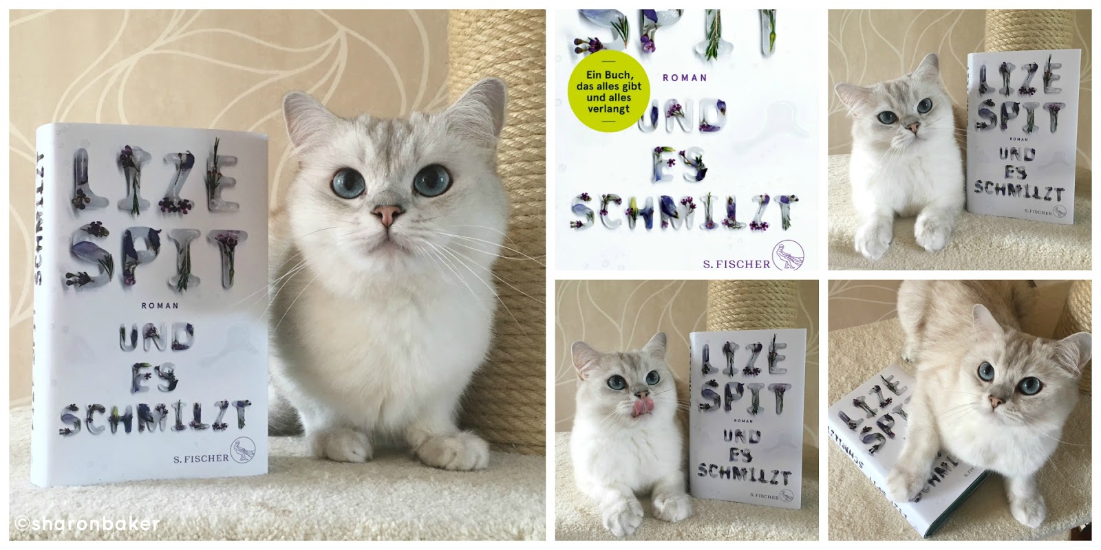 Bimbambuki 12 Von 12 Im November